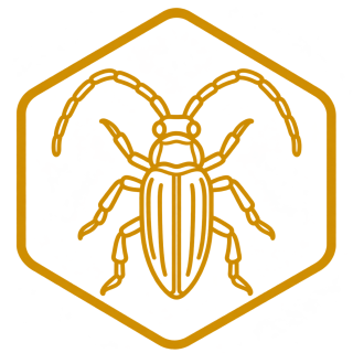 Wood Borer Treatment icon